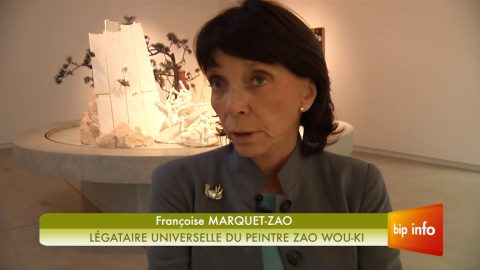 La Donation de la collection de Zao Wou-Ki