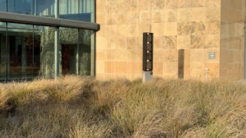 21 NOVEMBRE : FERMETURE EXCEPTIONNELLE DU MUSÉE